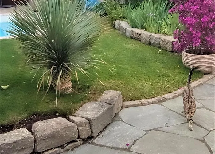 Bel Giardino فريدريشسهافن